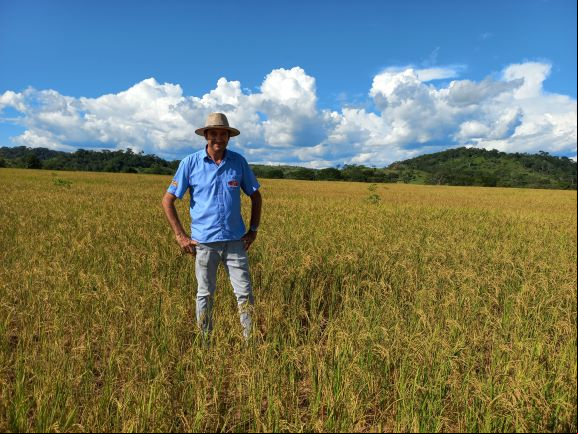 O agrônomo Celso Rocha, da Rical, é um especialista em arroz. Recentemente ele mudou para Cerejeiras para atender as lavouras da região. (Foto: Rildo Costa).